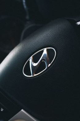 The Hyundai Mega Plant in Georgia Have Multiple Liens placed against the Project